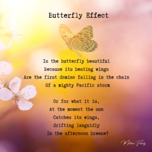Butterfly Effect by Matthew Flaherty