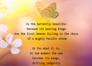 Butterfly Effect by Matthew Flaherty