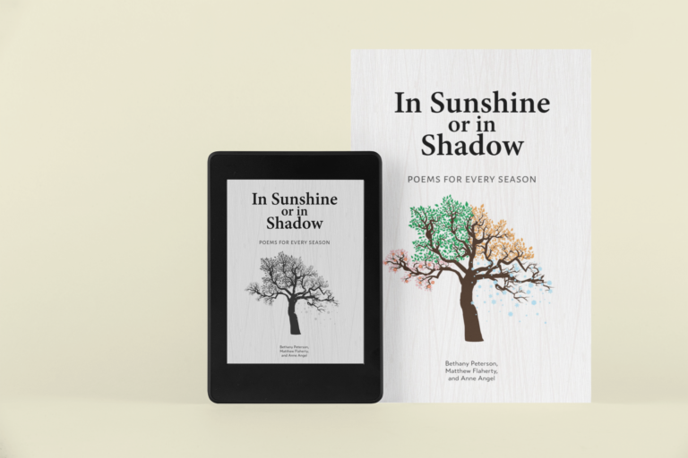 In Sunshine or in Shadow: Poems for Every Season by Bethany Peterson, Matthew Flaherty, & Anne Angel